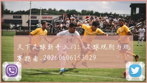 天下足球新手入门：足球规则与观赛指南_20260606153029