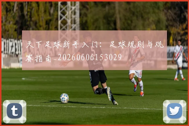 天下足球新手入门：足球规则与观赛指南_20260606153029